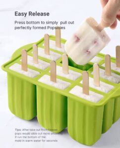Popsicle Mold Silicone Ice Cream Moulds with Sticks and 12 Cells Silicone